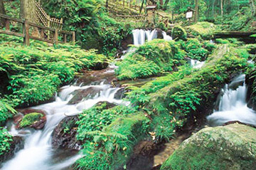 우리와리노타키 폭포(瓜割の滝, 일본 명수(名水) 100선 선정) 